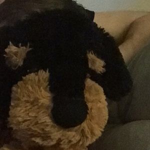 Meet your Posher, Lizzy